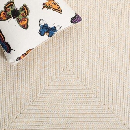 Safavieh 4 x 6 ft. Braided Contemporary Rectangle Hand Woven Area Rug, Ivory & Beige BRD315B-4